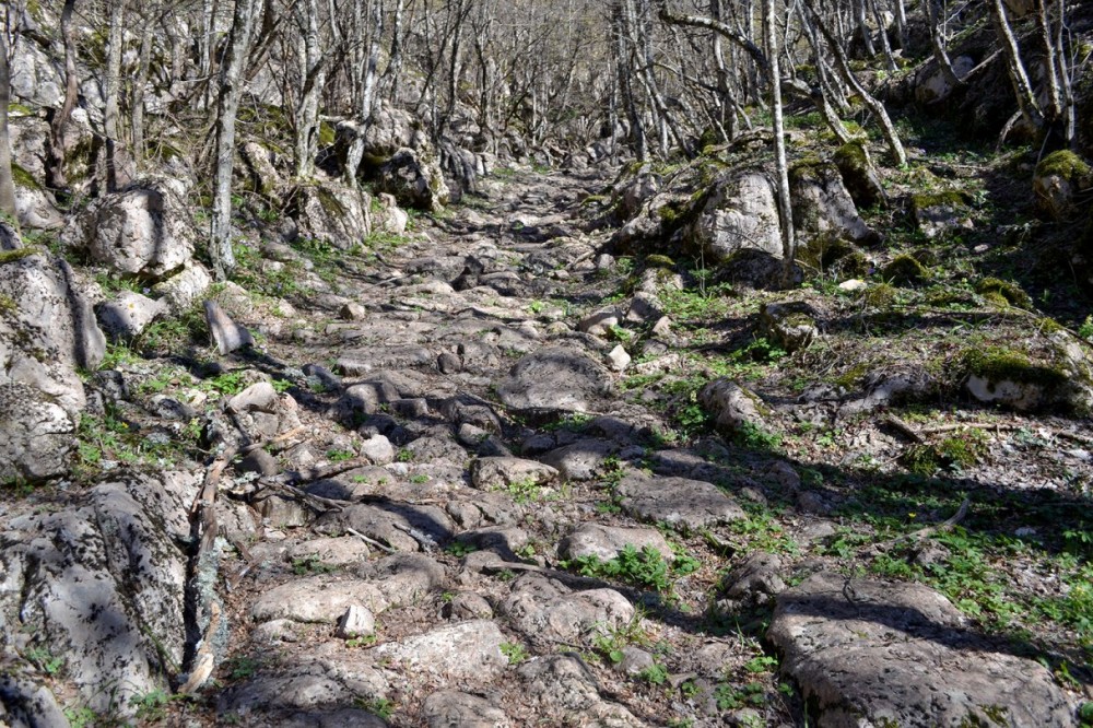 On the Alleged ”Roman Road From Lower Moldavia”