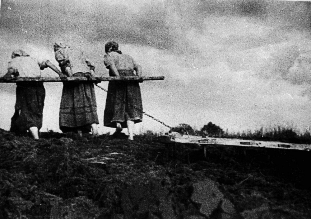 The rural women`s segment of the defense epic on the territory of Ukraine in the first period of the German-Soviet war of 1941 – 1945
