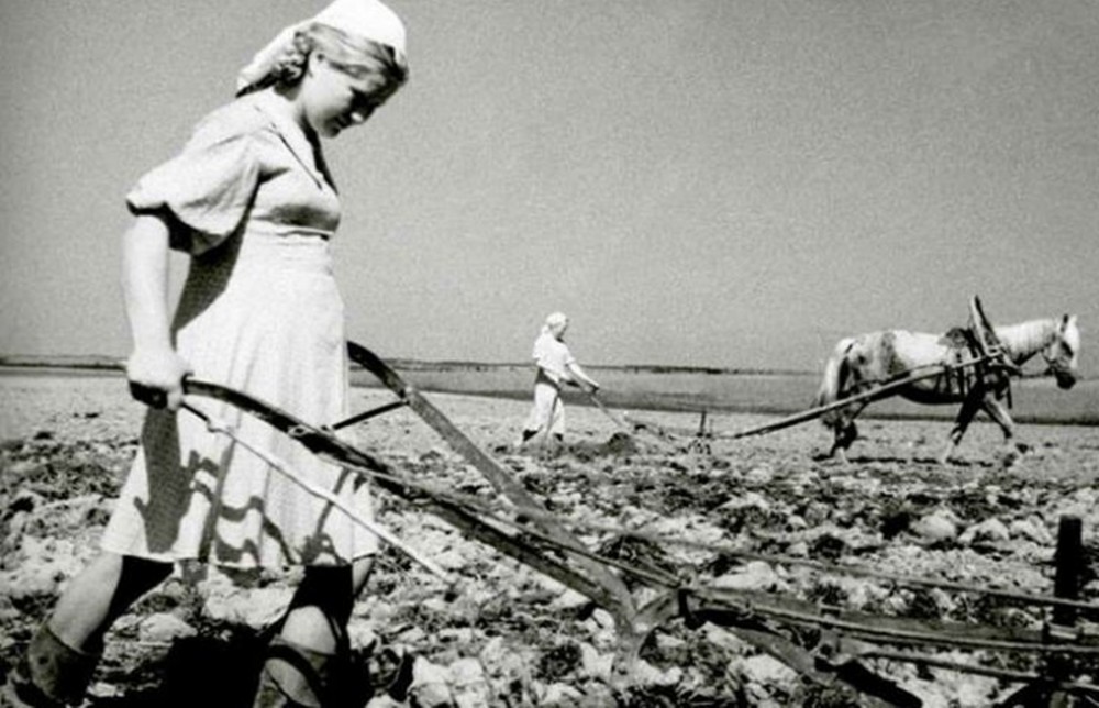 Women`s Practices of Everyday Life in the Conditions of the Ukrainian Village in the First Years of Post-War Reconstruction (1944-1947)