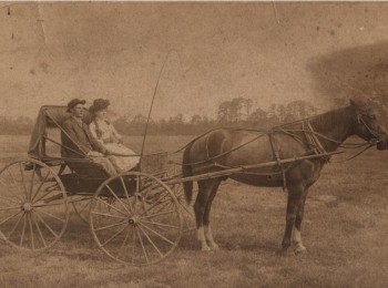 Humble Lodge No. 979 A.F. & A.M. (Humble, Texas) during the First World War: Selected Pages