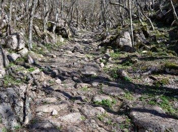 On the Alleged ”Roman Road From Lower Moldavia”