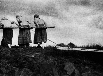 The rural women`s segment of the defense epic on the territory of Ukraine in the first period of the German-Soviet war of 1941 – 1945