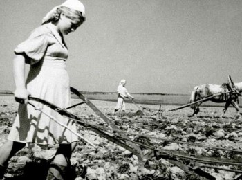 Women`s Practices of Everyday Life in the Conditions of the Ukrainian Village in the First Years of Post-War Reconstruction (1944-1947)